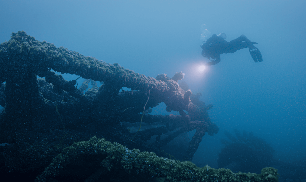 Diver shining a light on a section of a shipwreck underwater.