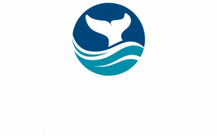 Wisconsin Shipwreck Coast National Marine Sanctuary logo.