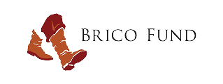 Brico Fund logo.