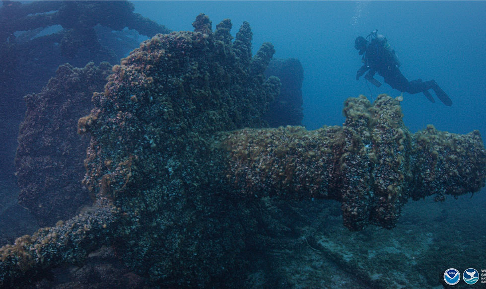 Scuba diver underwater with a shipwreck.