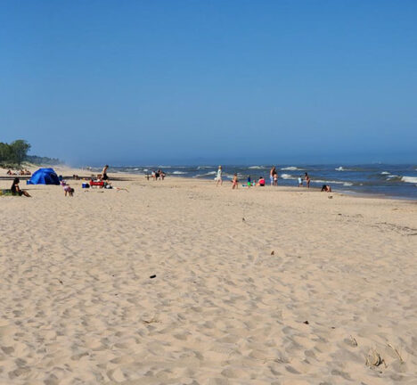 People on a beach on a sunny day.