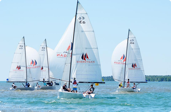 Group of sailboats on the water.