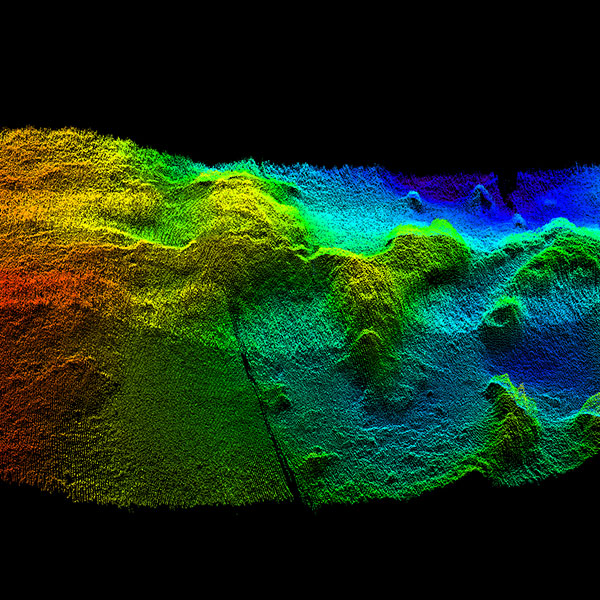 Topographical map of various colors representing different depths.
